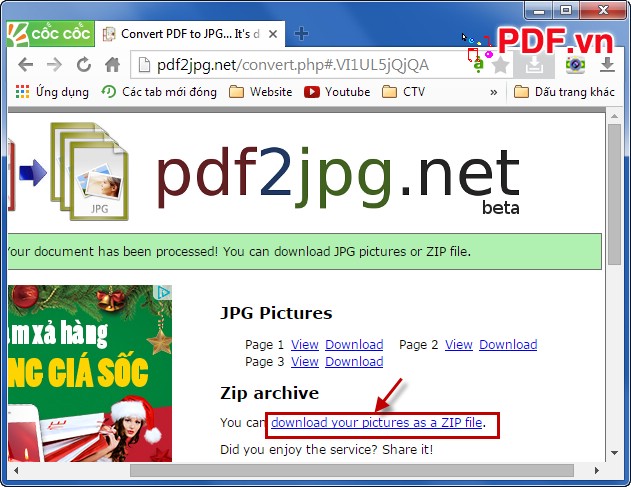 Download your picture as a Zip file
