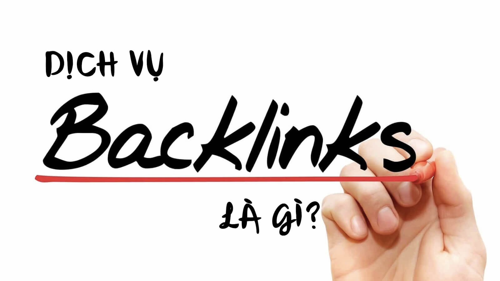 Linkranko Chuyên Cung Cấp Dịch Vụ Backlink Chất Lượng