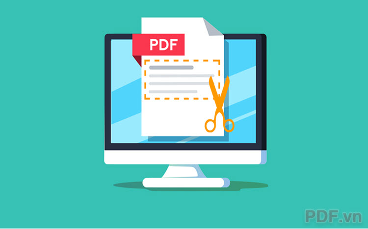 Cách copy chữ trong PDF nhanh và chính xác