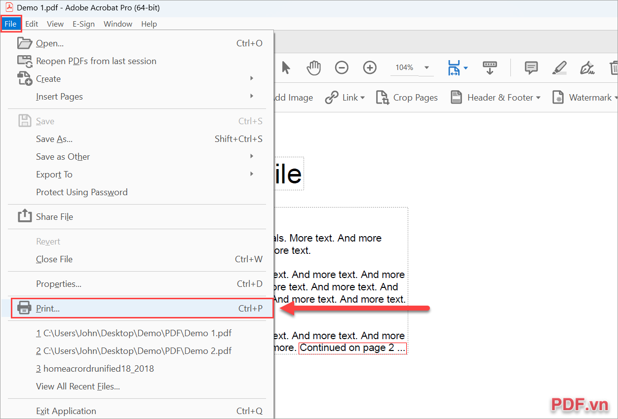 Chọn File → Print để kích hoạt máy in tài liệu file PDF bị khóa
