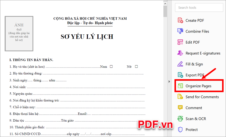 Trên file PDF bạn chọn biểu tượng mở chế độ xem Organize Pages