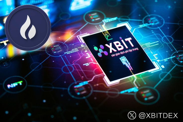 Biến động chính sách tạo logic thị trường mới, cơ chế bảo mật XBIT lên ngôi