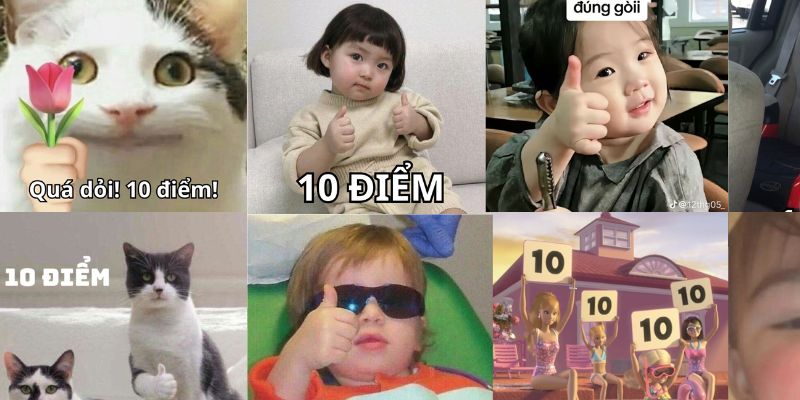 Khám phá loạt meme du lịch viral tại Anhnghethuatdulich.com